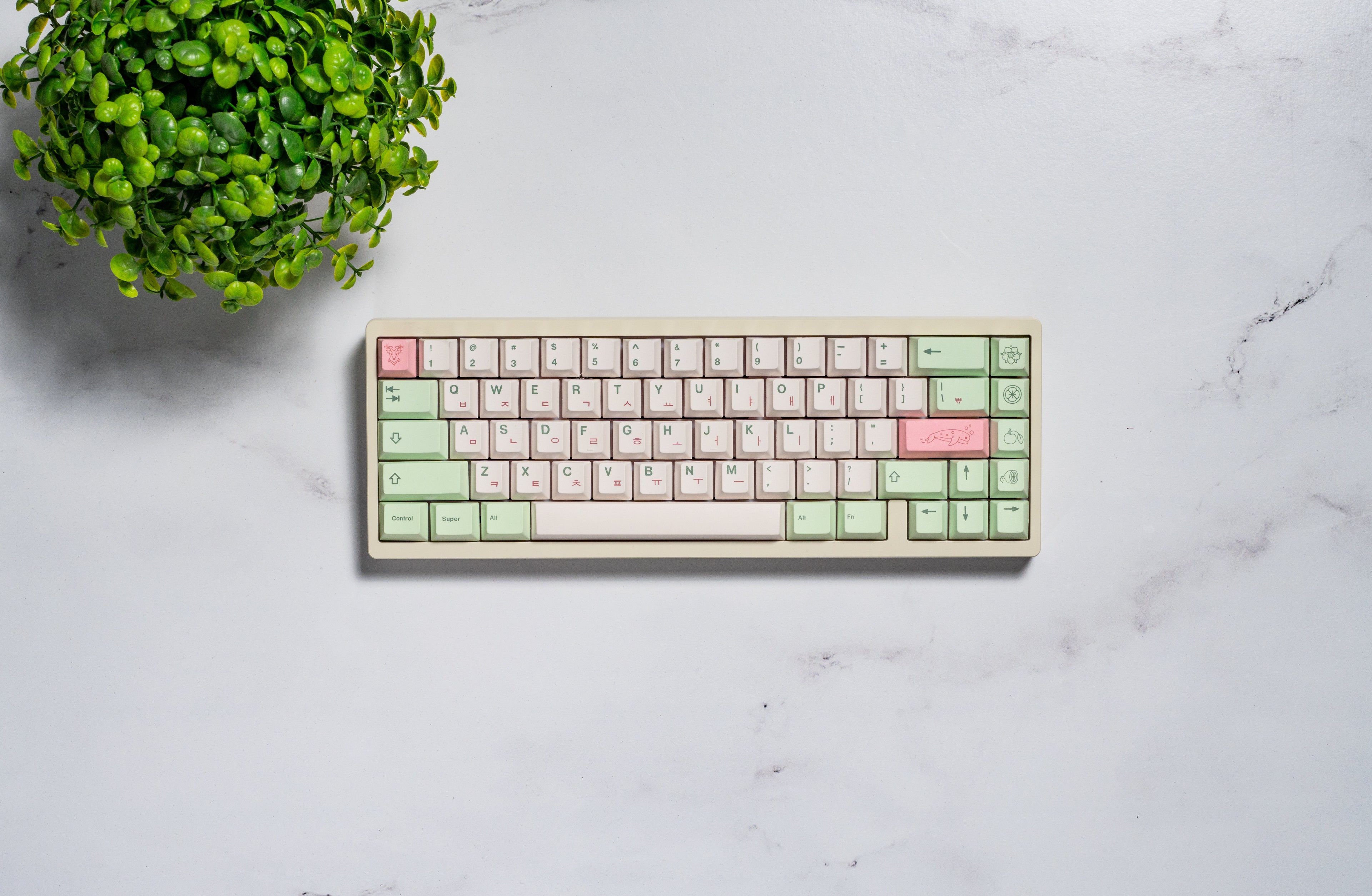 Jeju PBT Keycaps