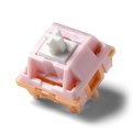 Salmon Tactile Switch
